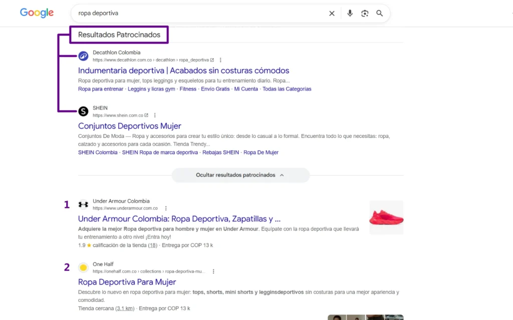 resultados pagos de búsquedas en Google y resultados no pagos